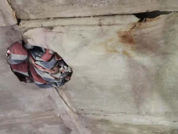 養殖棚頂內部破損維修前